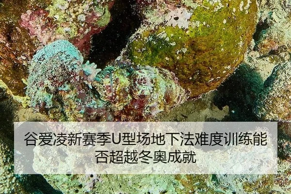 gu-ai-ling-xin-sai-ji-xing-chang-di-xia-fa-nan-du-xun-lian-neng-fou-chao-yue-dong-ao-cheng-jiu-2-924.jpg