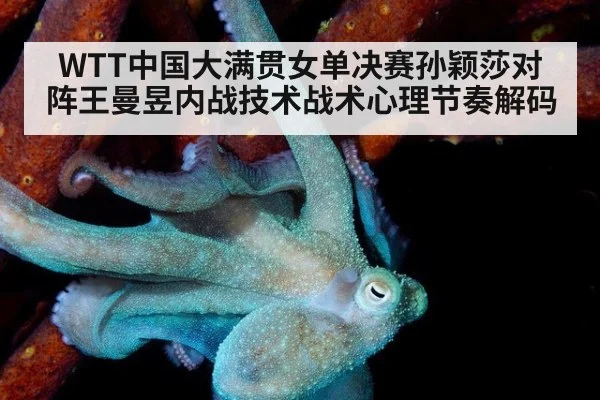 WTT中国大满贯女单决赛孙颖莎对阵王曼昱内战技术战术心理节奏解码